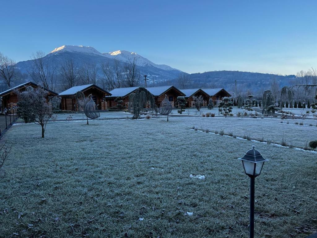 Готель Complex Bosco Борша Екстер'єр фото